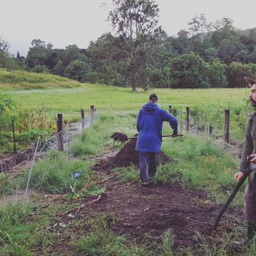 Zaytuna farm interns turning the compost