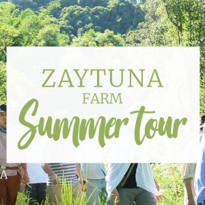 Zaytuna Farm Summer Tour