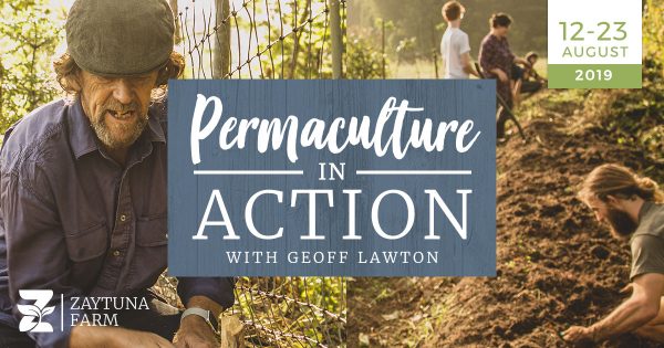 Permaculture In Action Course 12th - 23th of August 2019
