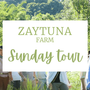 farm-tour