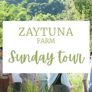 sunday-farm-geoff