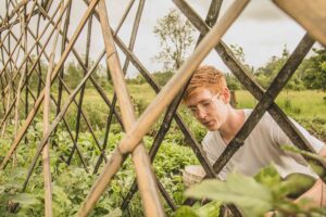 Trellis 3