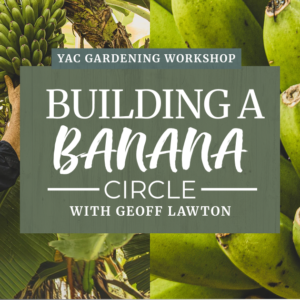 Building a Banana Circle with Geoff Lawton 21st June 2026